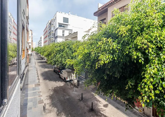 Apartamento Malva Las Palmas de Gran Canárias